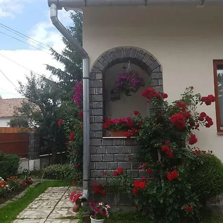 Rita Vendeghaz Gazde/Camere de închiriat *